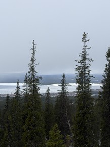Фото отзыва 3: экскурсия "Космическое приключение: айс-флоатинг на Белом море (из Кировска)"