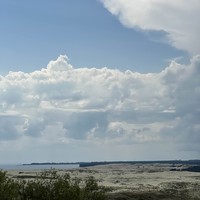 Фото отзыва 3: экскурсия "Куршская коса для детей и взрослых"