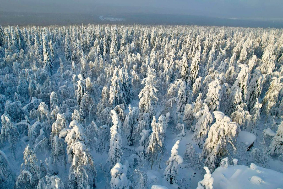 Ездили вместе в Каменный город и к Усьвинским столбам. Замечательный гид - внимательный и знающий, с