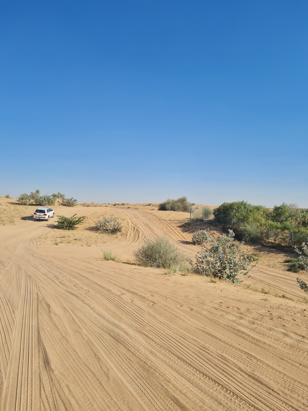 Индивидуальное сафари по дубайским дюнам (Granatowa)