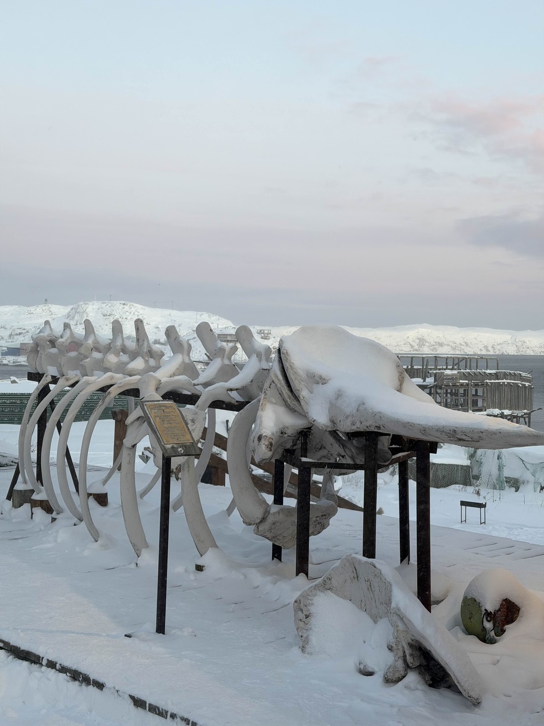 Териберка: водопады, скалы и фьорды (Екатерина)
