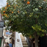 Фото отзыва 4: экскурсия "Святыни Кипра"
