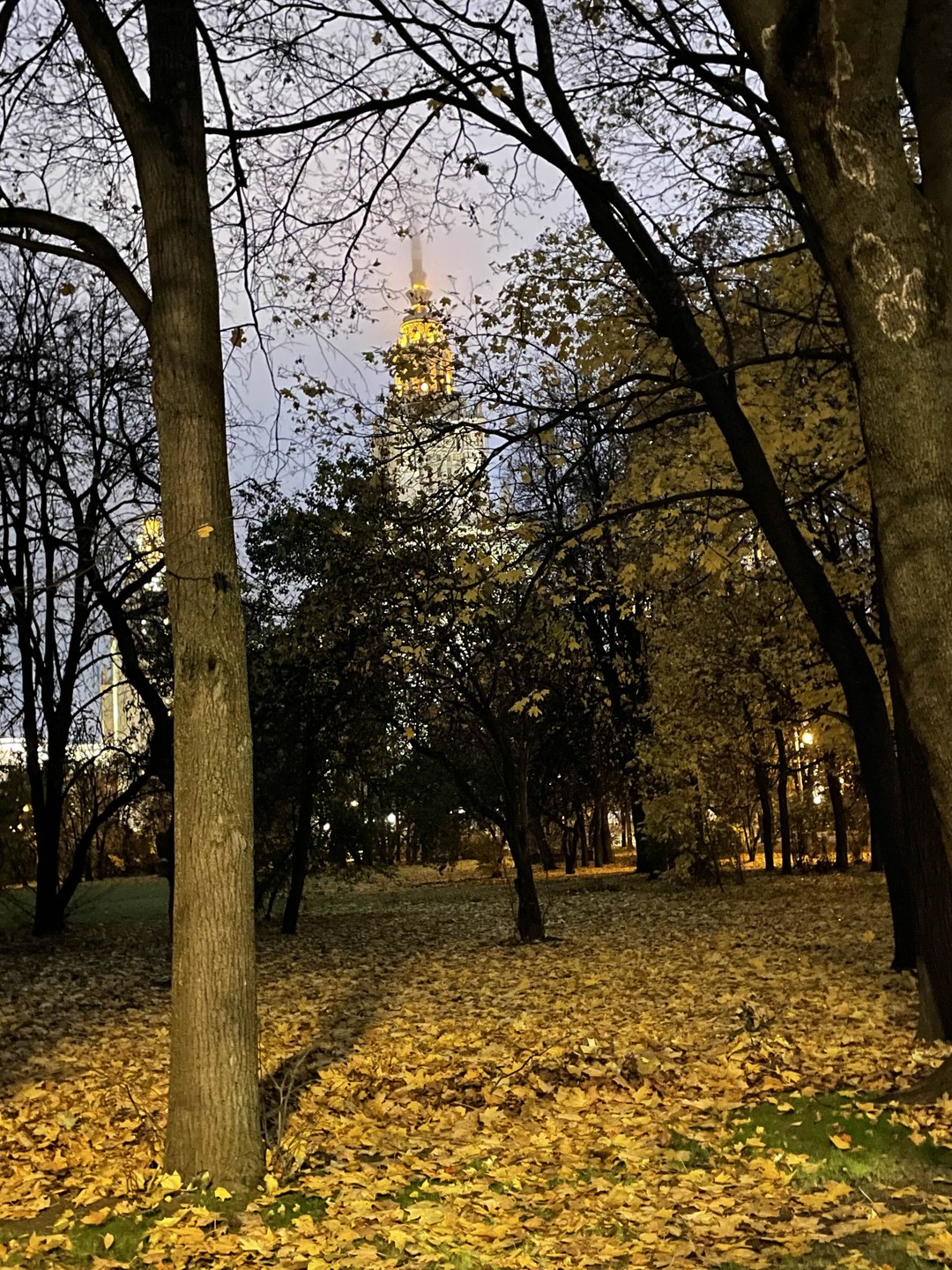 По сталинским высоткам (Екатерина)