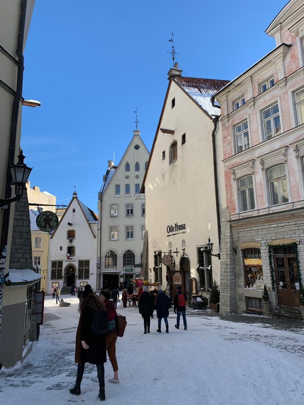 Наш Таллин в вашей компании