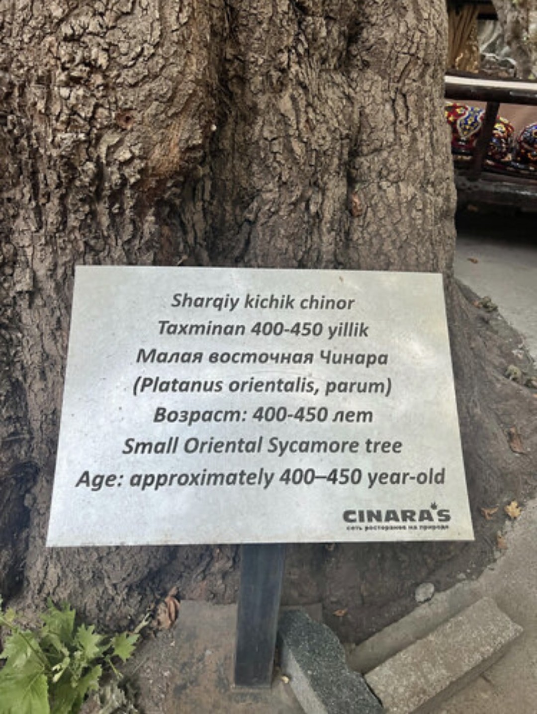 Экскурсия превзошла все ожидания! Даже несмотря на то, что я была единственным туристом, поездку не отменили,