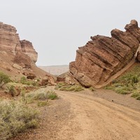Фото отзыва 5: экскурсия "Озёра Каинды и Кольсай, Черный и Чарынский каньоны — все сокровища Алматы"