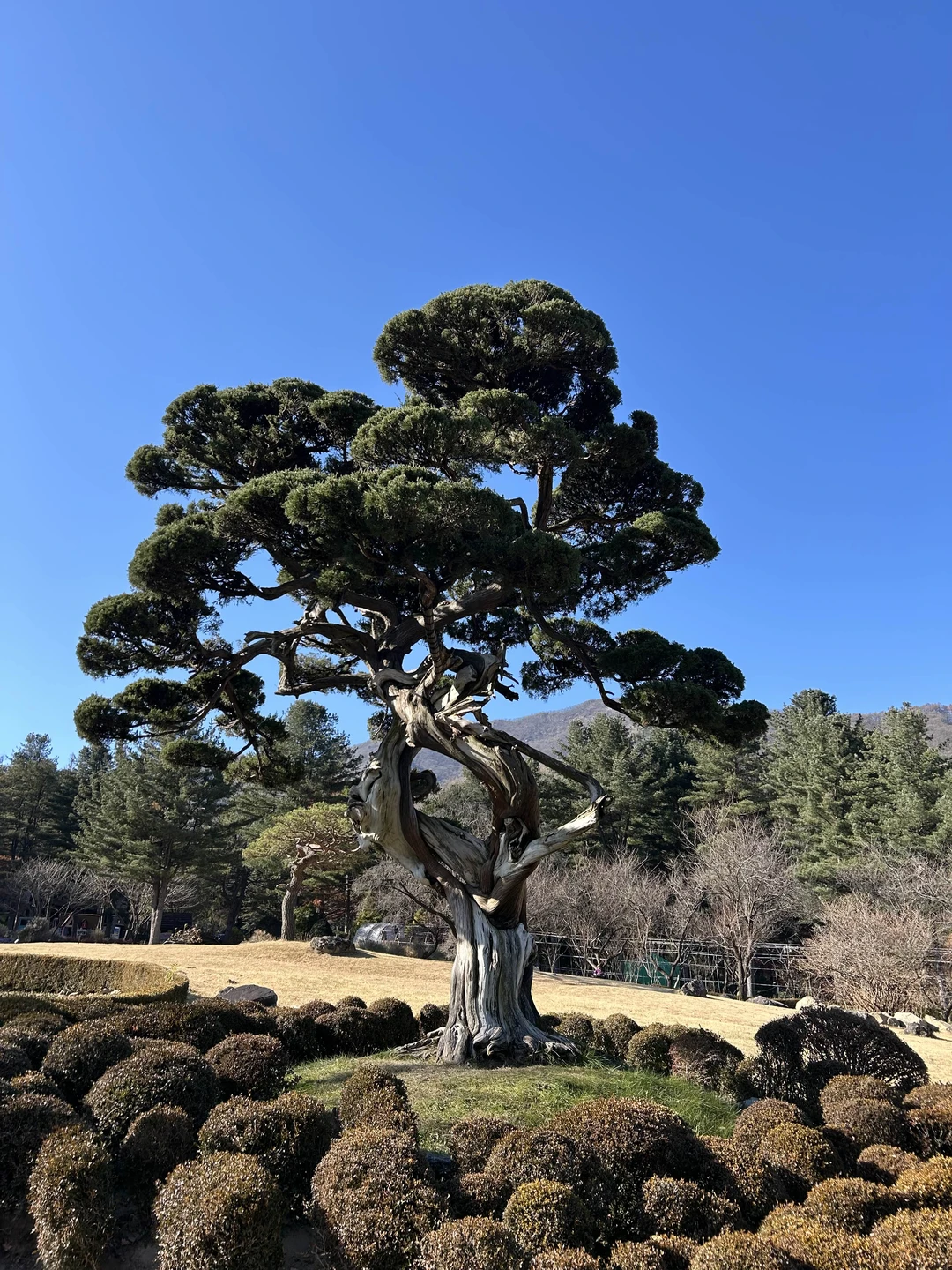 Нам очень понравилась экскурсия. Вячеслав - молодец. Очень вежлив и тактичен! Много рассказывал про Корею! Время пролетело незаметно