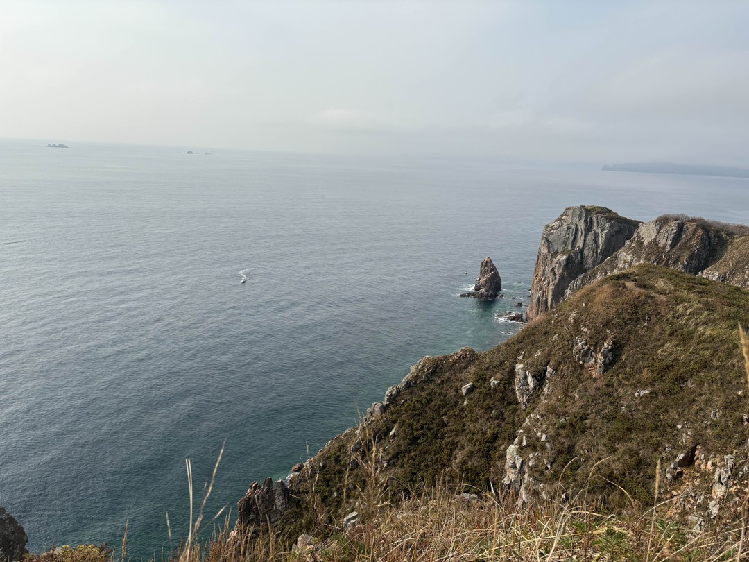 Морское приключение во Владивостоке: мыс Тобизина, котики и морепродукты (Татьяна)