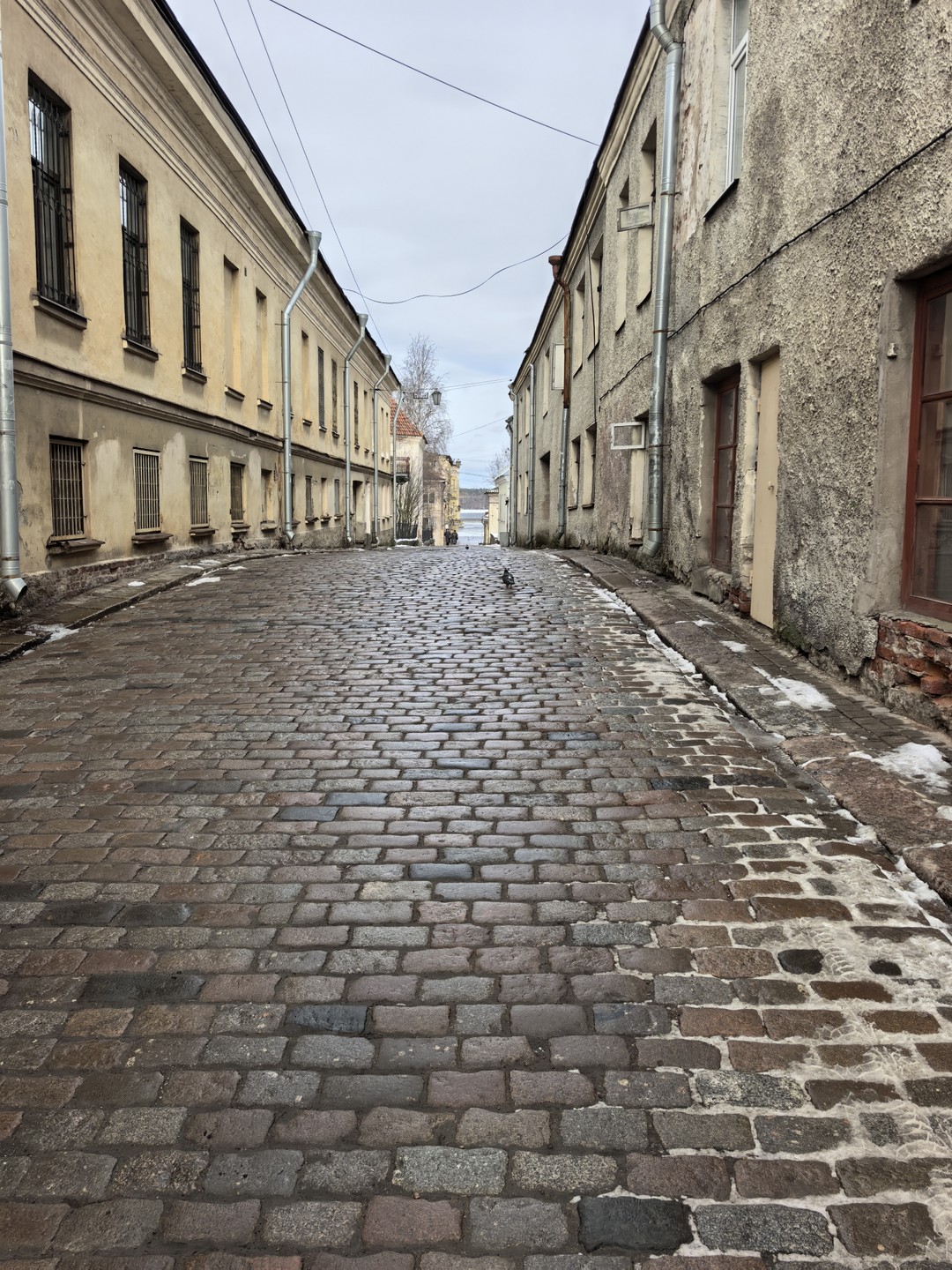Однодневная экскурсия из Петербурга в Выборг на автобусе (Олеся)