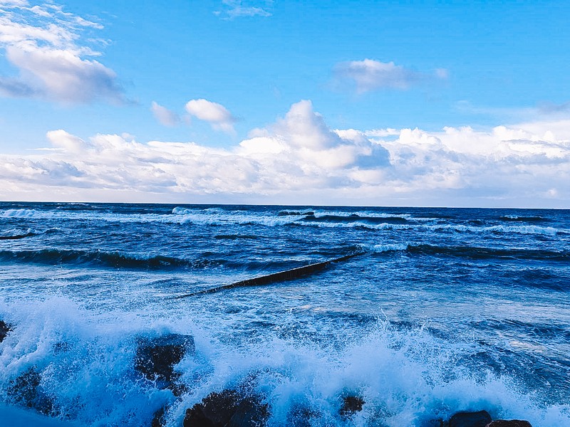 Фото отзыва 2: авторский тур "Всё везде и сразу в Калининграде: курорты Балтики и прусские городки"