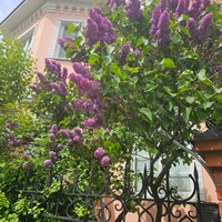 Фото отзыва 3: экскурсия "Ширяево — путешествие в сердце Жигулёвских гор"