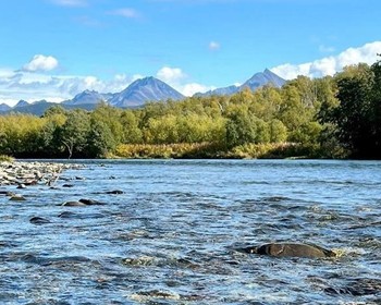 Рафтинг по реке Быстрая