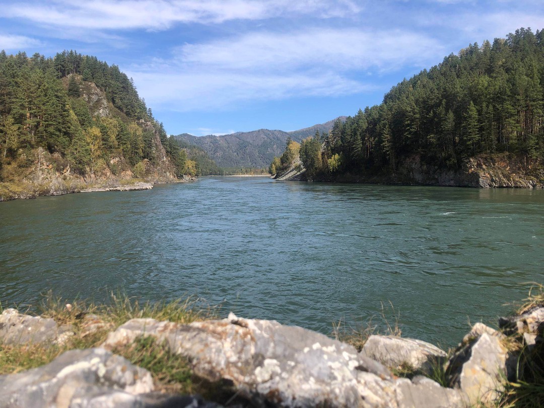 Очень интересная экскурсия, Радмила посветила нас в историю Алтая, рассказала об приготовлении барана, показала зубра по