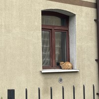 reviews img