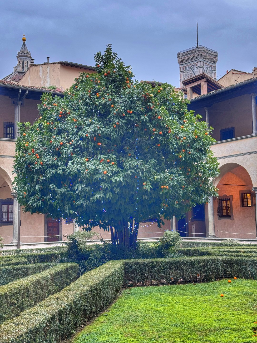 Светлана-прекрасный экскурсовод с глубокими знаниями в искусстве. Провела нас по интереснейшмм маршрутам Флоренции, даже находясь в
