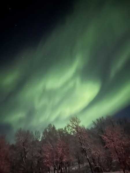 Мурманск: охота за северным сиянием (Кристина)