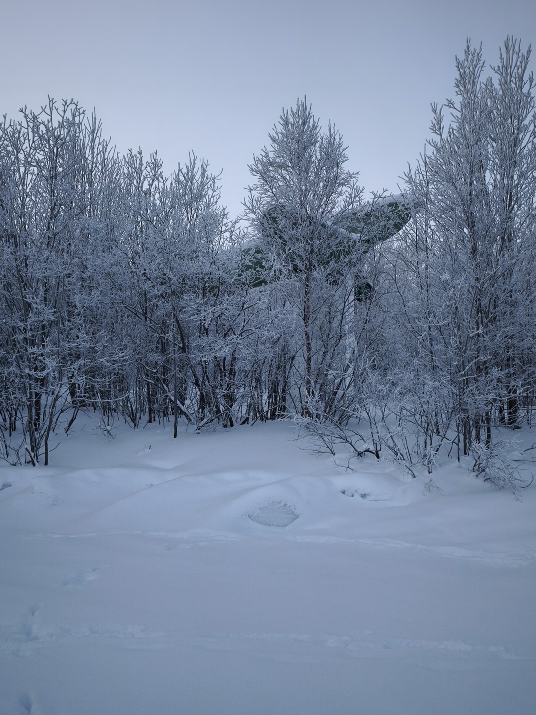 На западную сторону Кольского фьорда (Сергей)