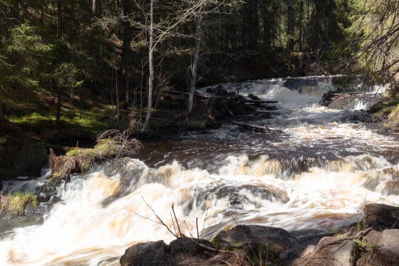 В карельский экопарк «Долина водопадов» - из Петербурга