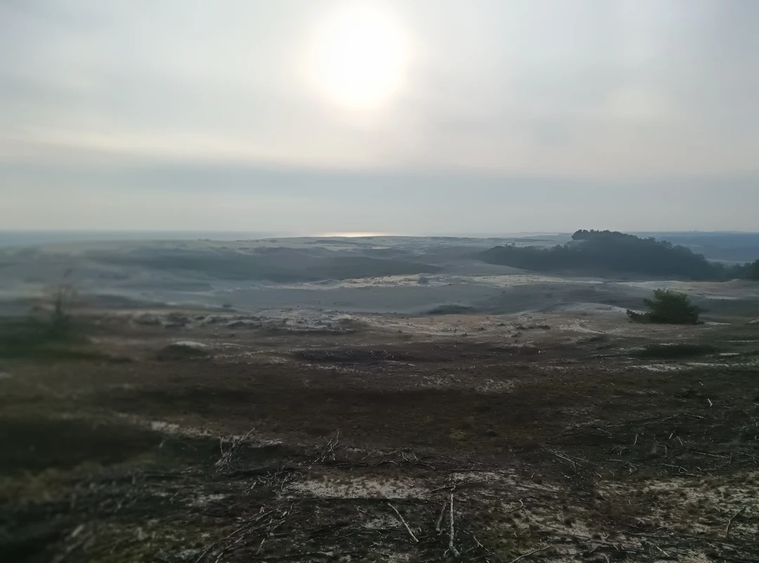 Спасибо! Очень хорошо. Отвечают в чатах и по телефону информативно и быстро, выезд из Зеленоградска удобный