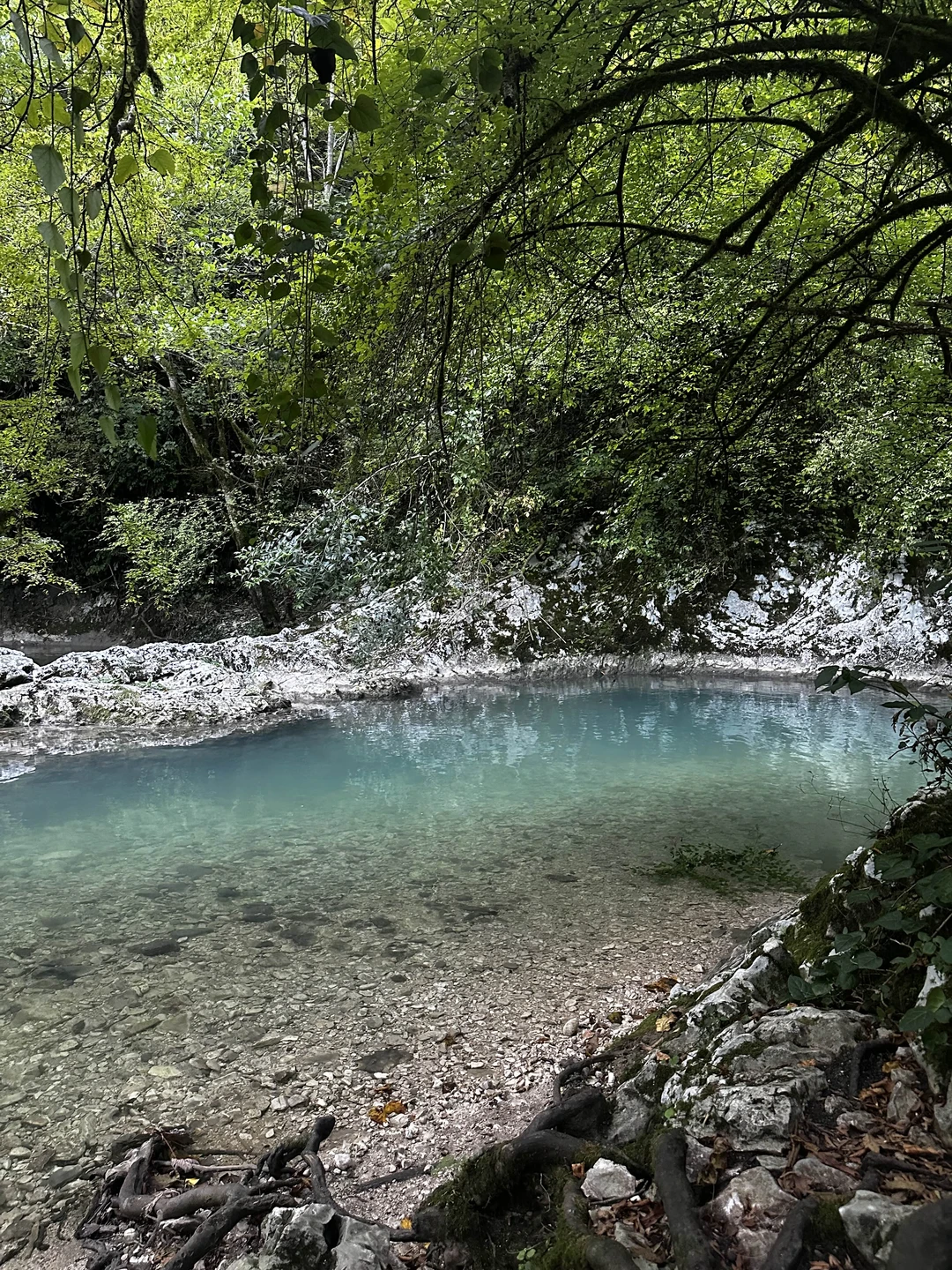 Очень рекомендую данные места к посещению и организатора, днем написала вечером уже приехали за нами на