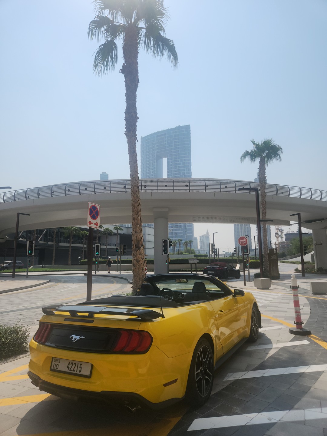 Панорамы Дубая: экскурсия на кабриолете (Тимур)