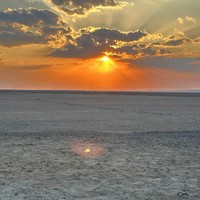 Фото отзыва 1: экскурсия "Ночная прогулка на верблюдах по-бедуински"