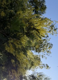 Фото отзыва 5: экскурсия "Необыкновенная Абхазия — в индивидуальном формате из Сочи"