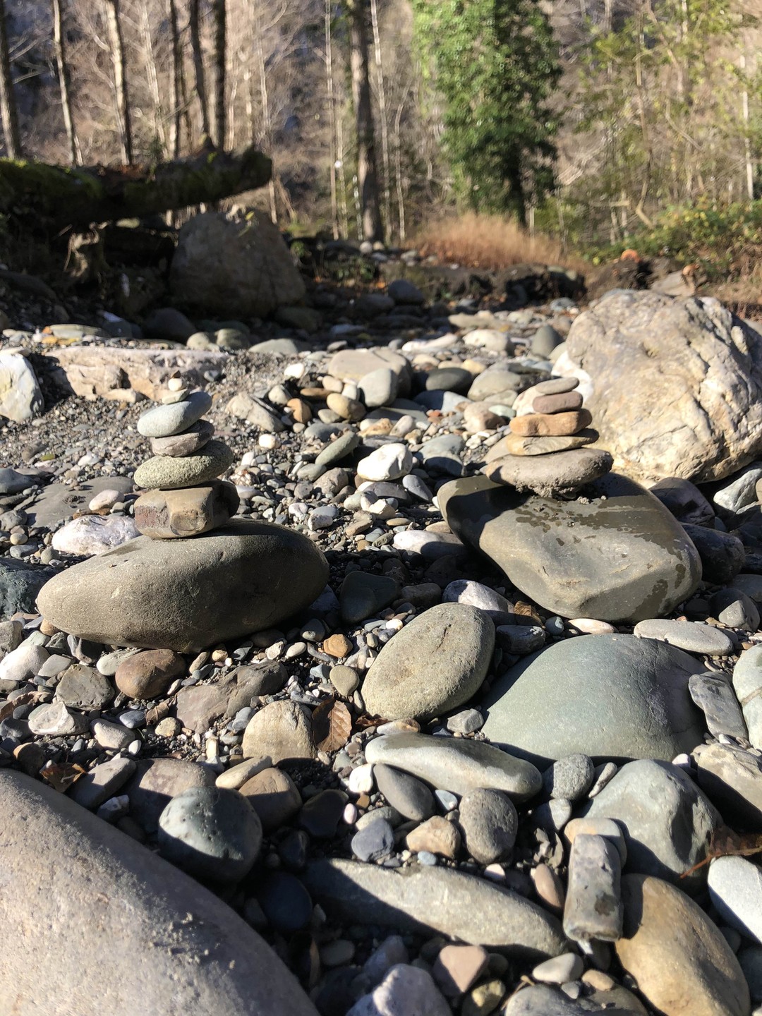 3 курорта Красной Поляны с канатной дорогой на выбор и Олимпийский парк (Наталья)