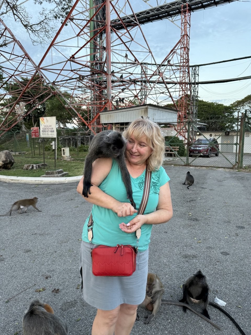 Обзорная экскурсия по Куала-Лумпуру (Елена)