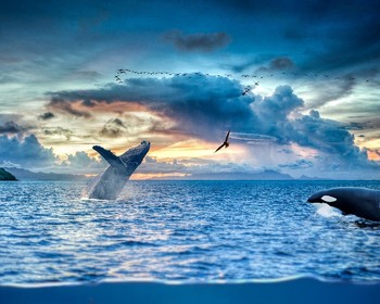 Переход в бухту Онгачан