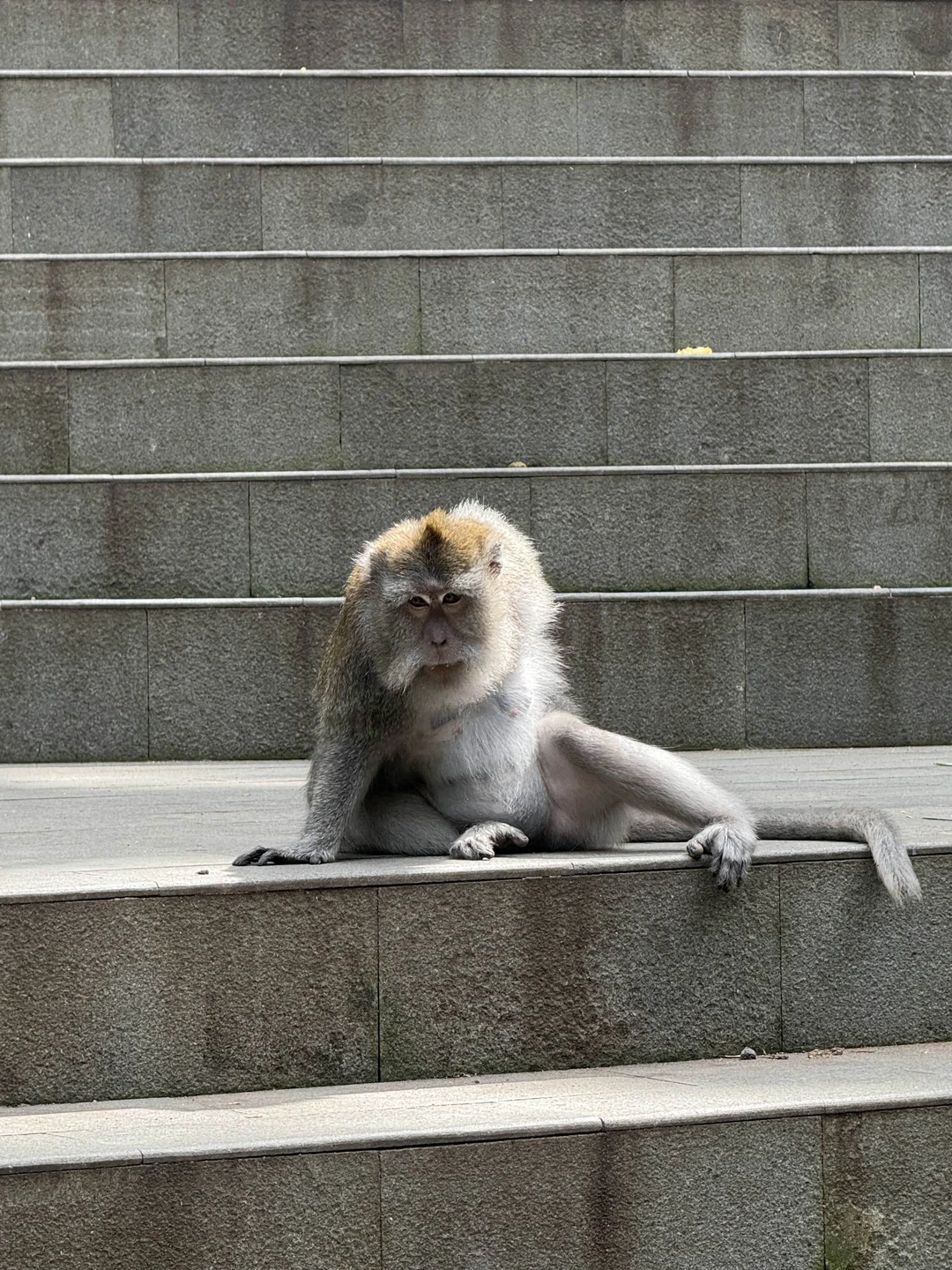 Бали, который вы ждёте (Кристина)