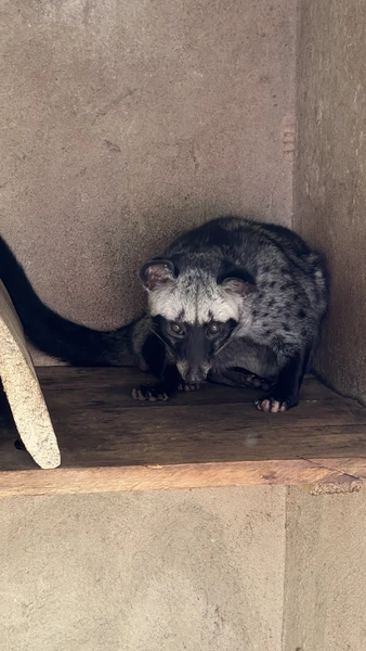 Далат на максимум (из Нячанга) (Юлия)