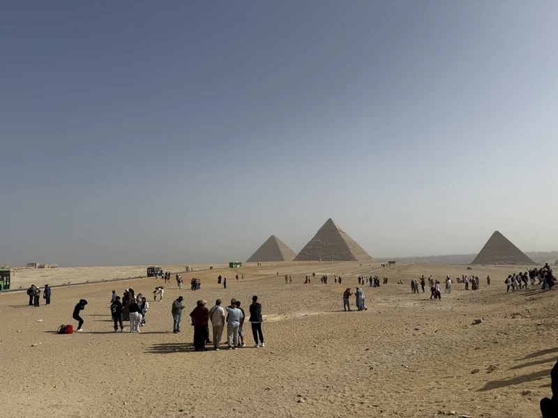 Отличный экскурсовод, за нами приехал водитель в 2.10, в 8.00 мы уже входили в музей. По