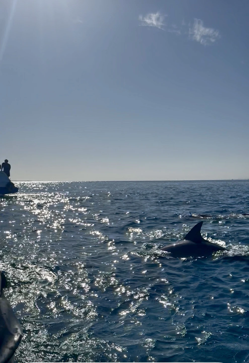 Это просто потрясающая экскурсия! Словами невозможно описать весь кайф который мы почувствовали!!! Мы не просто увидели