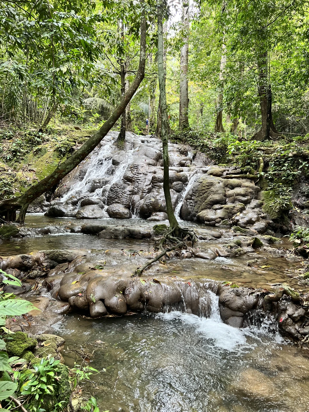 Спасибо огромное за прекрасно проведенное путешествие по провинции Пханг Нга и ее удивительным пещерам, паркам, храмам