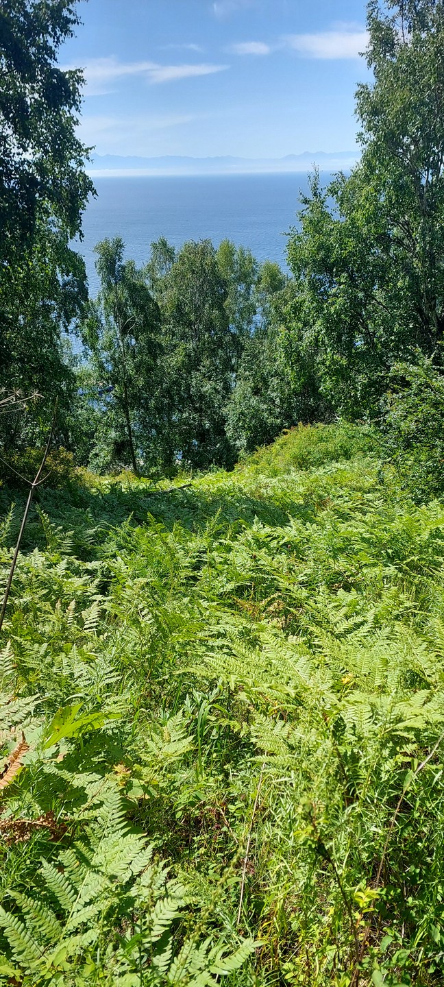 Замечательная поездка на Байкал! Благодарю гида Вячеслава и организатора Марину за прекрасно проведенный день на озере: