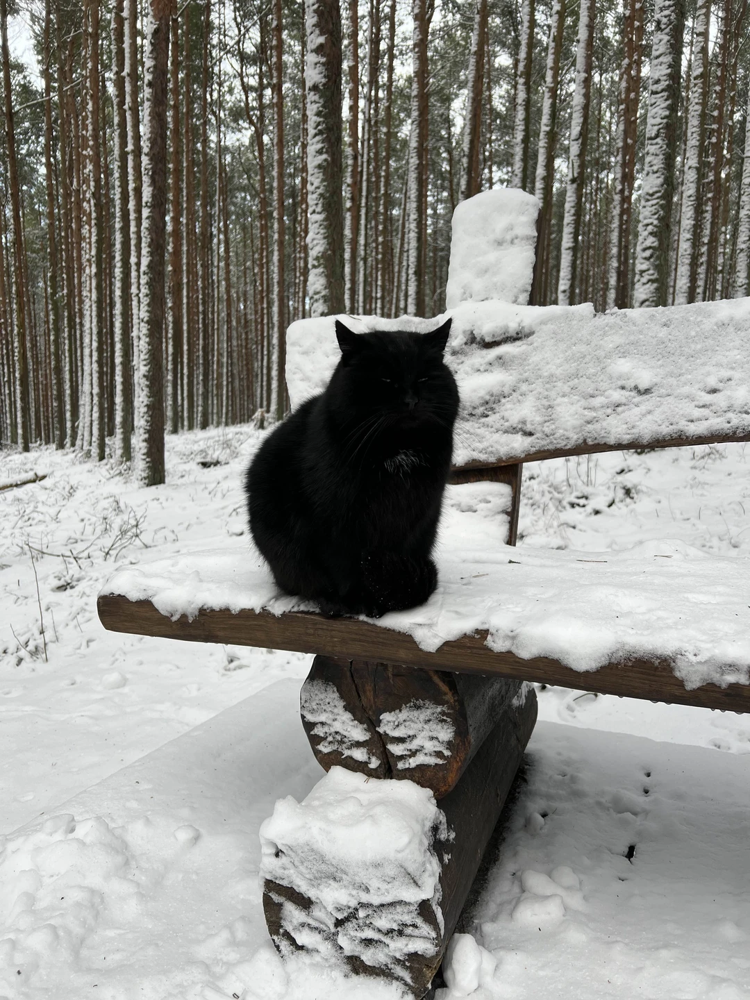 Очень понравилась экскурсия, несмотря на то, что есть пеший маршрут - совершенно не напряжная для всех