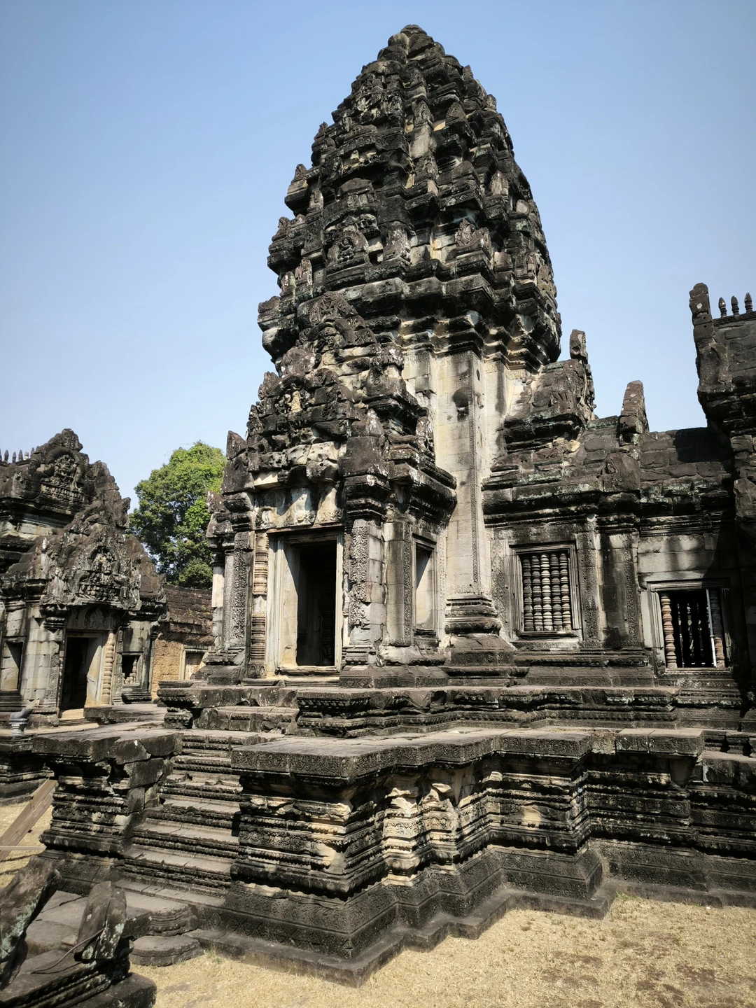 Великолепный гид! Одн из лучших в моем опыте (а опыт достаточно большой). Компетентность, глубина знаний в