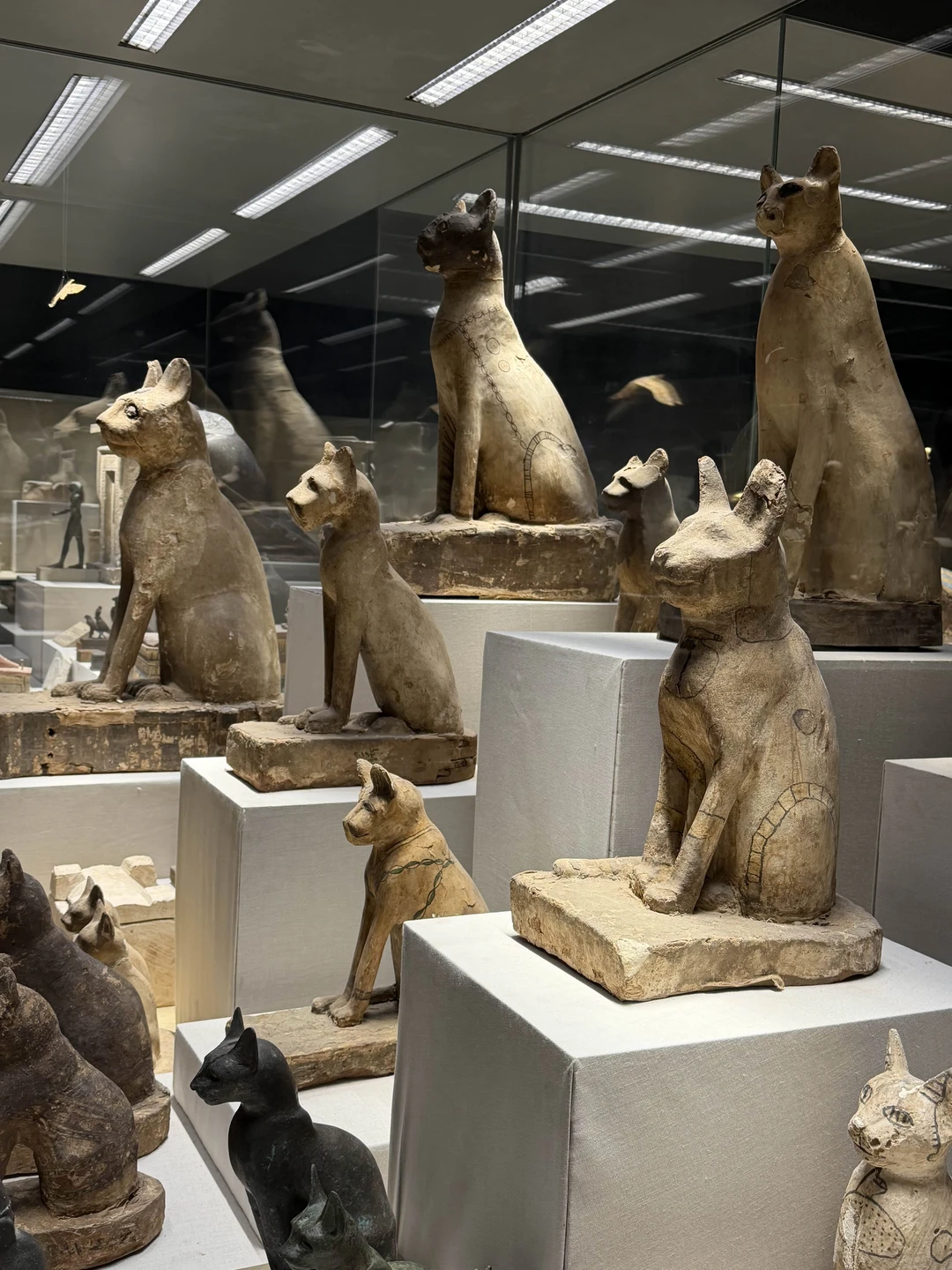 Очень понравилась экскурсия в исторический музей Шарм-эль-Шейха и Коптскую церковь. Интересные экспозиции в музее. Гид рассказывал