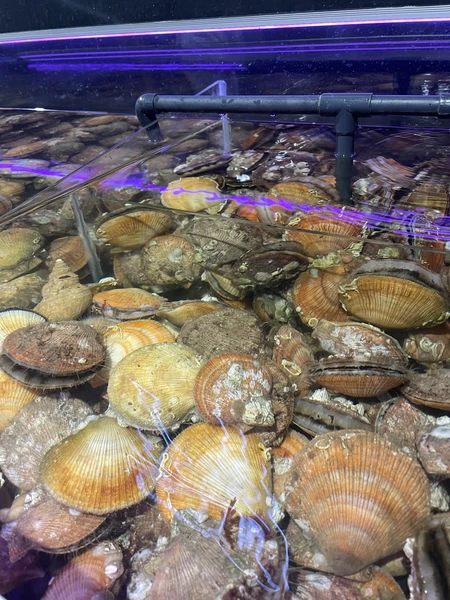 Все прошло отлично, поездка понравилась, экскурсия была познавательная и разнообразная, наш гид Никита очень отзывчивый и