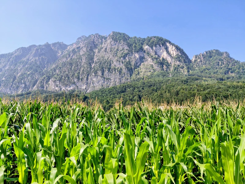 Белоснежный Зальцбург