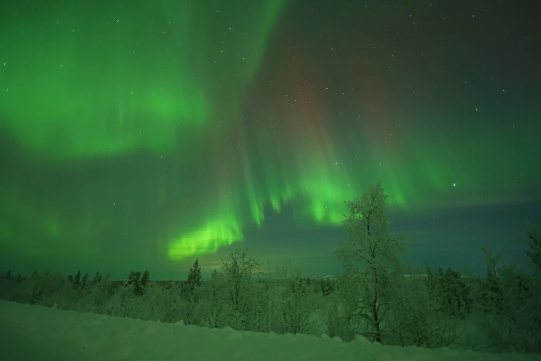 11.01 была охота за северным сиянием с Виталием, всё было великолепно, комфортная поездка с горячим чаем