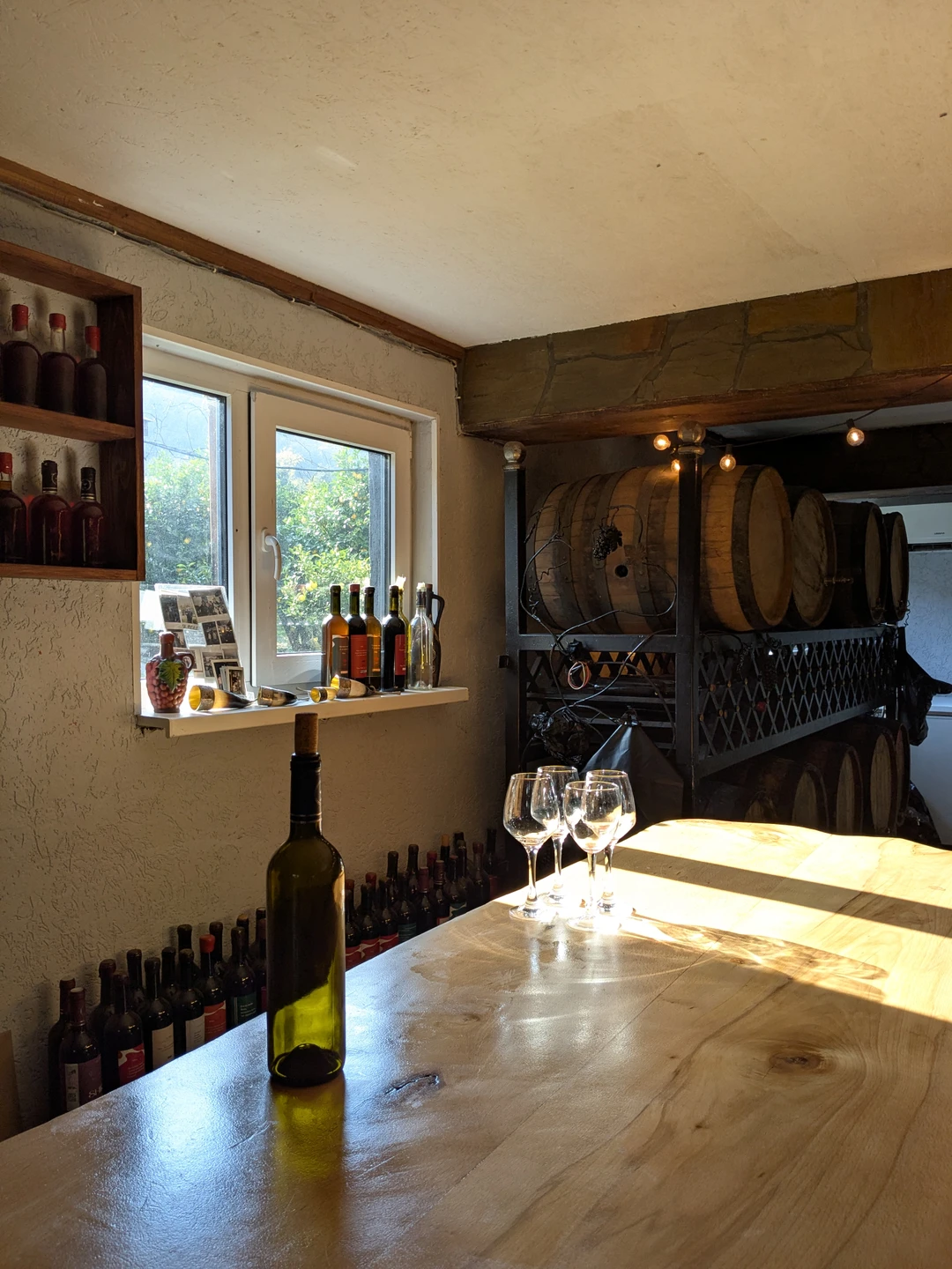 Гастропутешествие по Абхазии (из Гагры) (Зозуля)