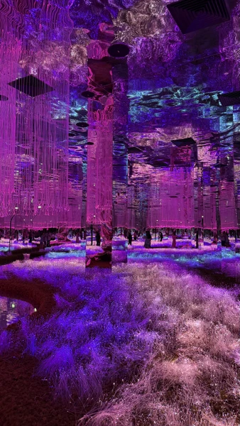 Большое спасибо Ислому и Фаролу! Боала две экскурсии, которые прошли замечательно! Я ОЧЕНЬ довольна! Увидела всё