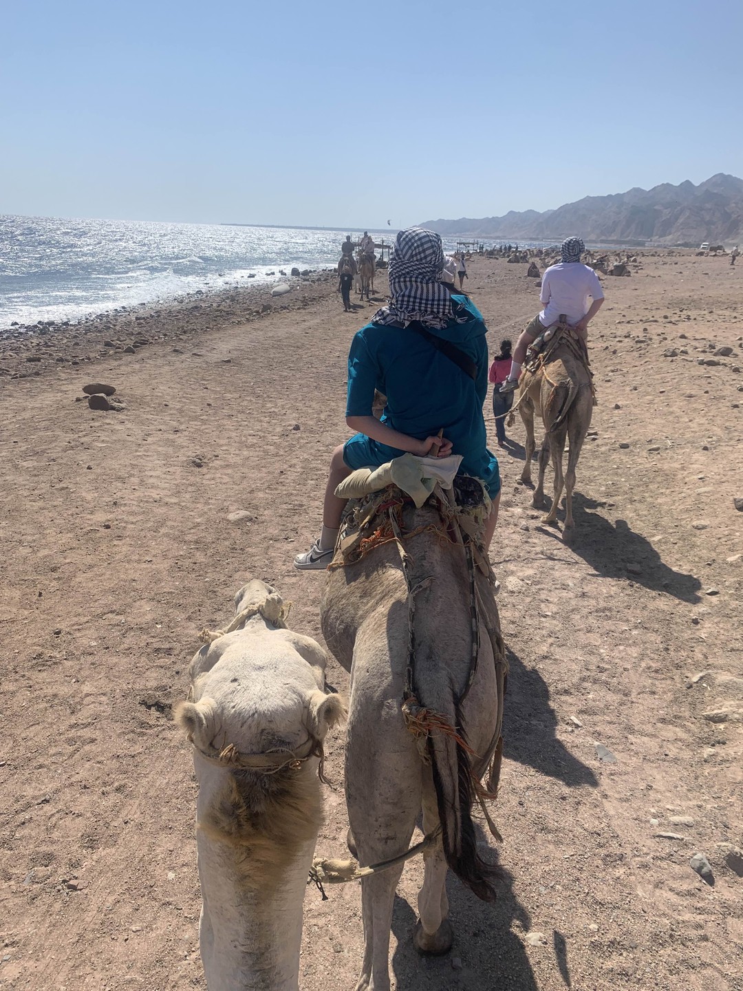 Экскурсия была в день моего рождения. Буря ярких эмоций. Мы и плавали, и шли на верблюдах