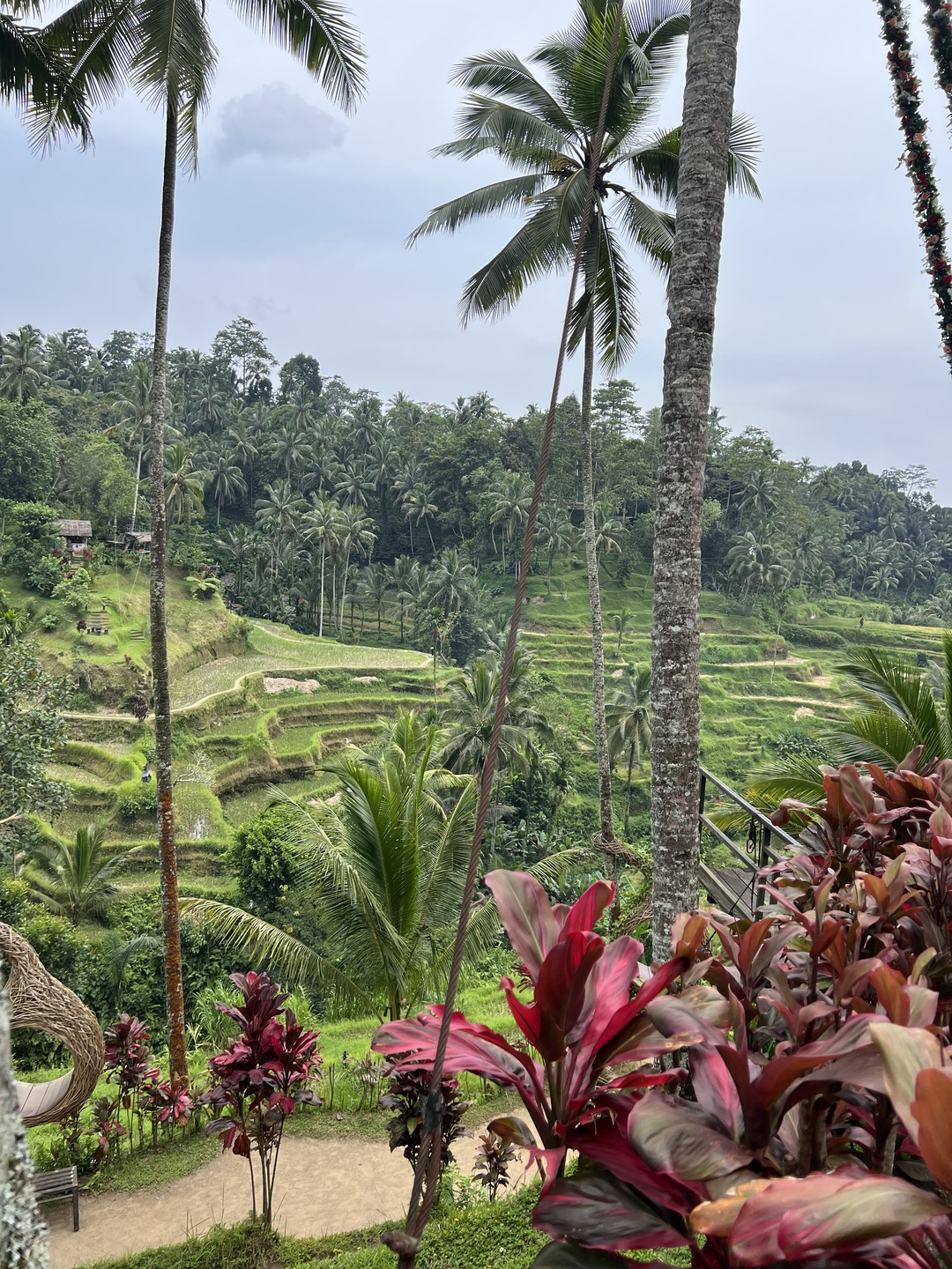 Было все прекрасно организовано, веселый и приятный гид! Нам очень понравился!
