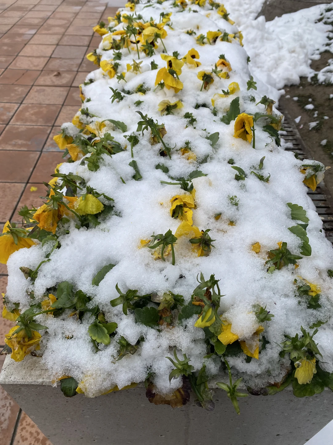 Погружение в Самарканд: 5 часов красоты и истории (Valentina)