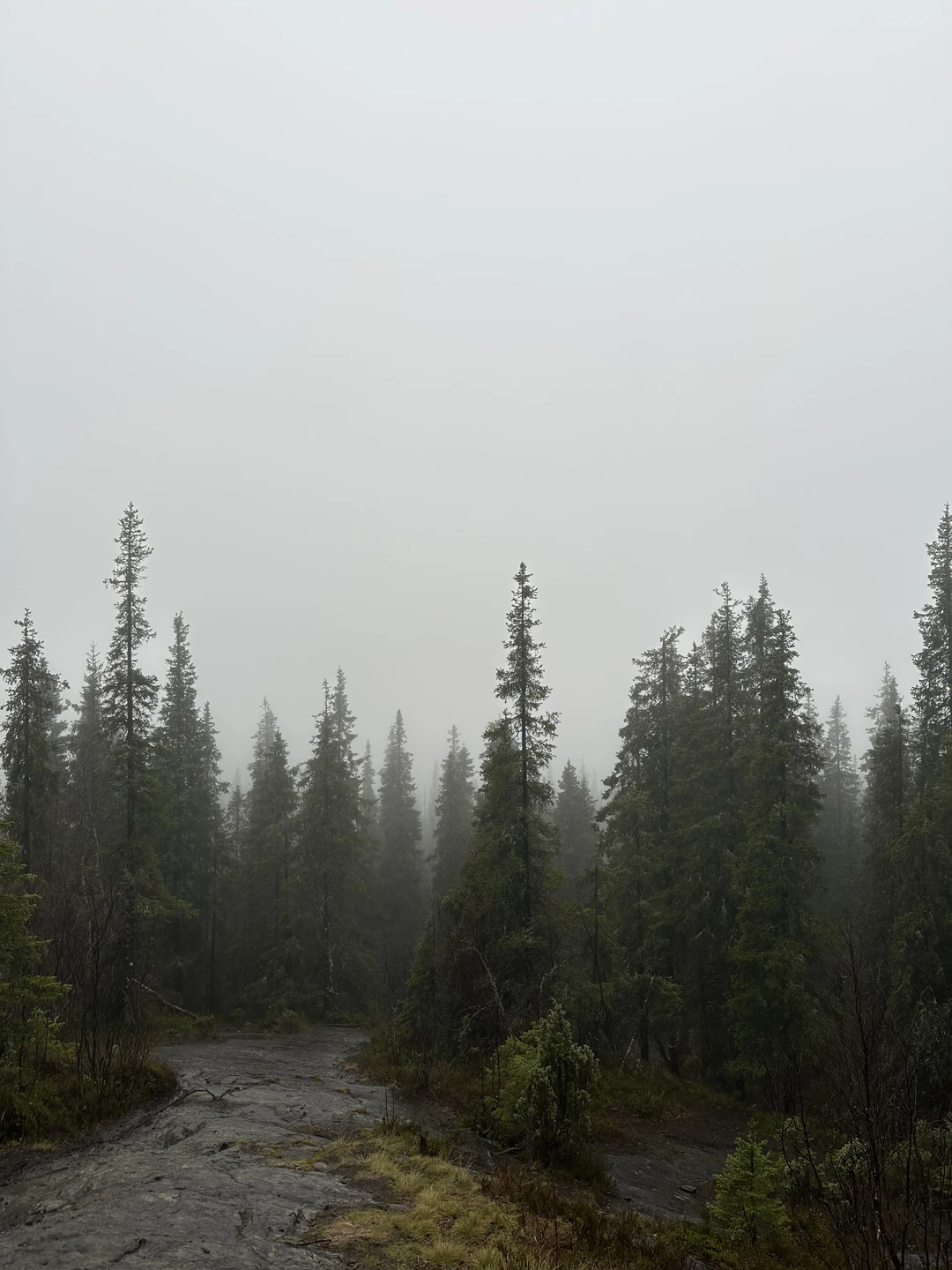 Провели прекрасный день с Оксаной и ее пушистым помощником Дюной на берегу Белого моря! Всё прошло