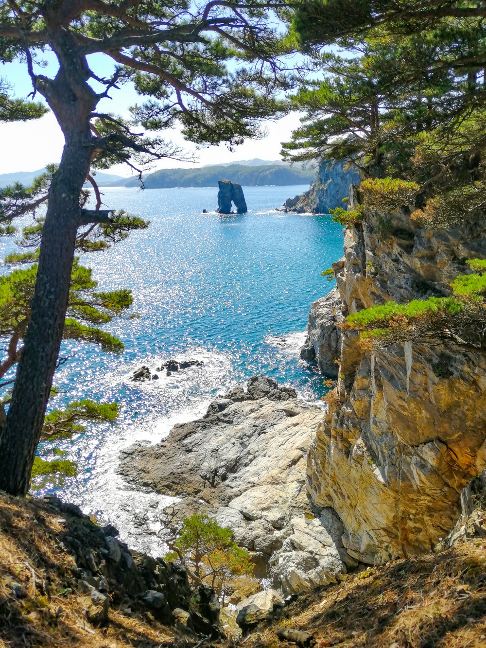Из Владивостока — в морской заповедник у мыса Сосновый (2/6)