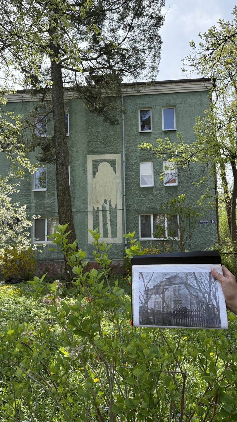 Авторская экскурсия по Амалиенау с его жителем (Виктория)